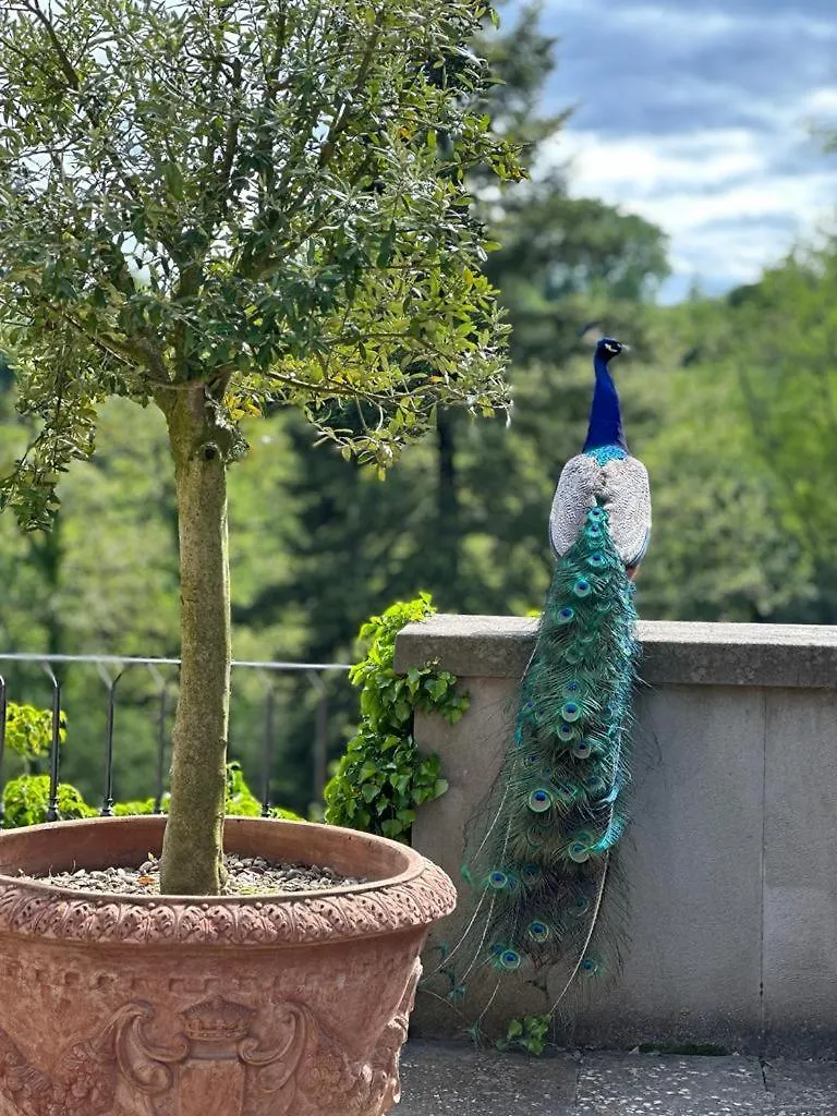 Farm stay Villa La Commenda Concordia Molezzano Italy